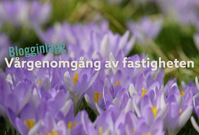 Vårgenomgång av fastigheten